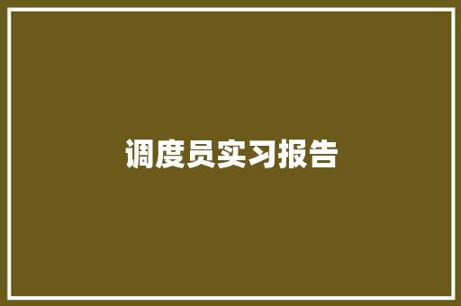 调度员实习报告