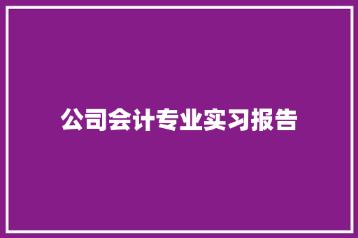 公司会计专业实习报告