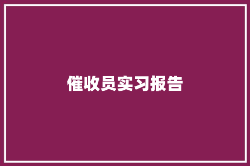 催收员实习报告