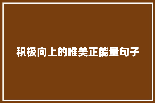 积极向上的唯美正能量句子