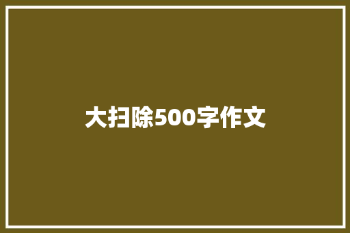 大扫除500字作文