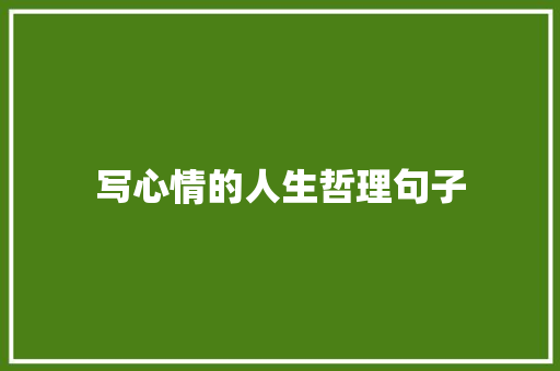 写心情的人生哲理句子