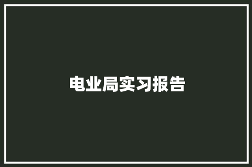 电业局实习报告