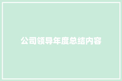 公司领导年度总结内容