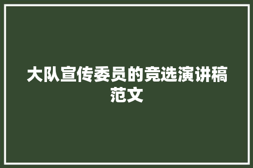 大队宣传委员的竞选演讲稿范文