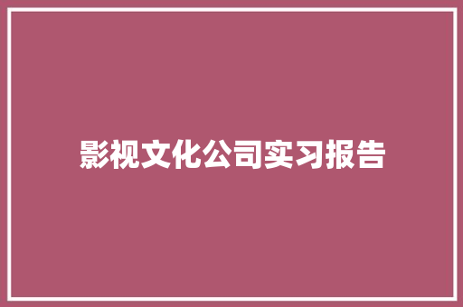 影视文化公司实习报告