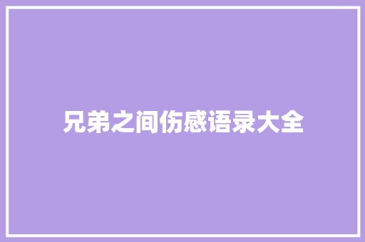 兄弟之间伤感语录大全