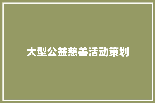 大型公益慈善活动策划