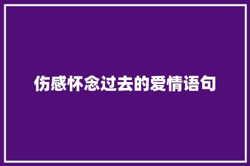 伤感怀念过去的爱情语句