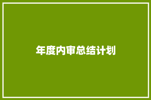 年度内审总结计划