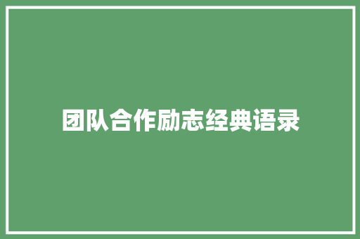 团队合作励志经典语录