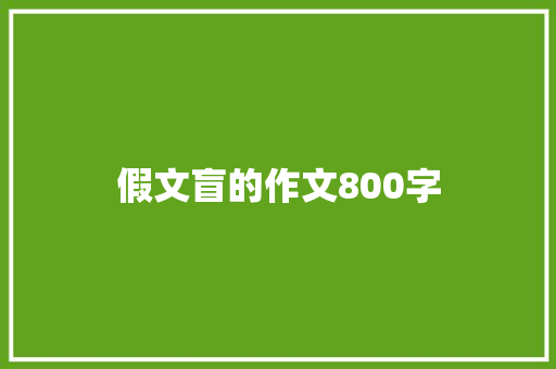 假文盲的作文800字