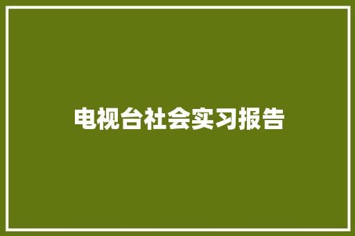 电视台社会实习报告