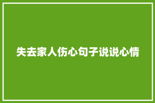 失去家人伤心句子说说心情