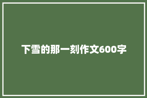 下雪的那一刻作文600字