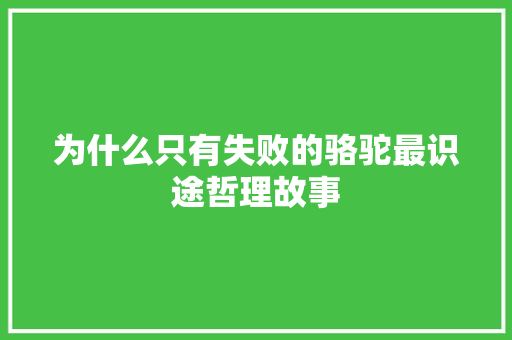 为什么只有失败的骆驼最识途哲理故事