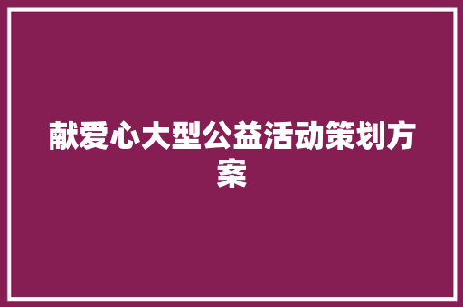 献爱心大型公益活动策划方案 论文范文