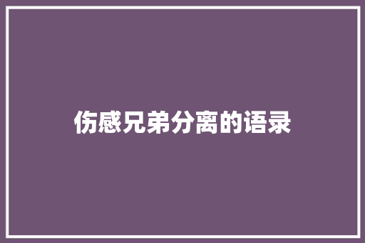 伤感兄弟分离的语录