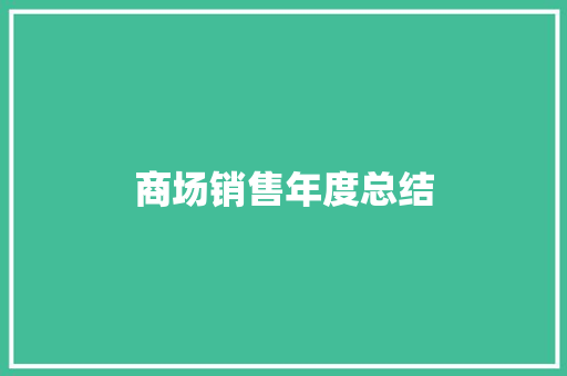 商场销售年度总结