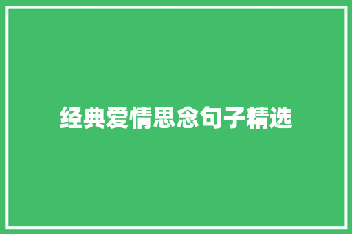 经典爱情思念句子精选