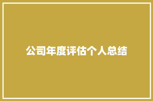 公司年度评估个人总结