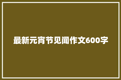 最新元宵节见闻作文600字