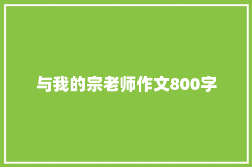 与我的宗老师作文800字