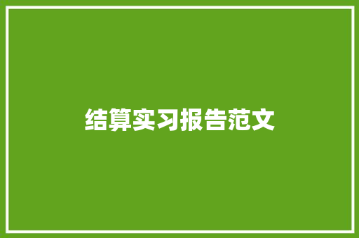 结算实习报告范文