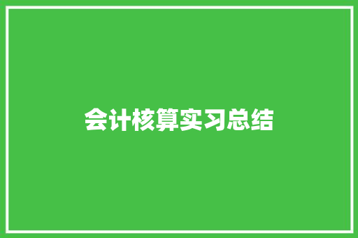 会计核算实习总结