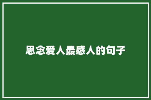 思念爱人最感人的句子