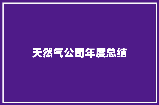 天然气公司年度总结