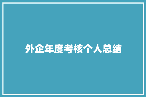 外企年度考核个人总结