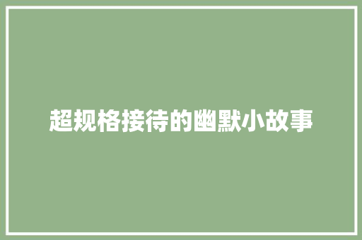 超规格接待的幽默小故事