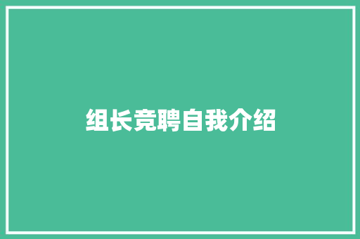 组长竞聘自我介绍