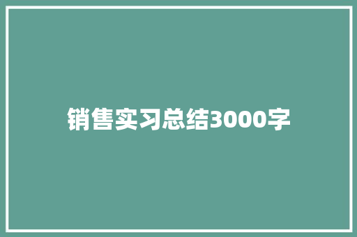 销售实习总结3000字 申请书范文