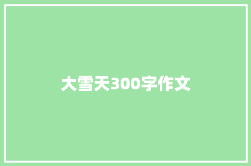 大雪天300字作文