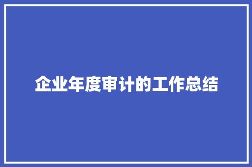 企业年度审计的工作总结