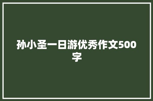 孙小圣一日游优秀作文500字