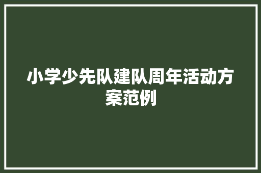 小学少先队建队周年活动方案范例