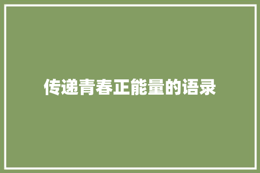 传递青春正能量的语录