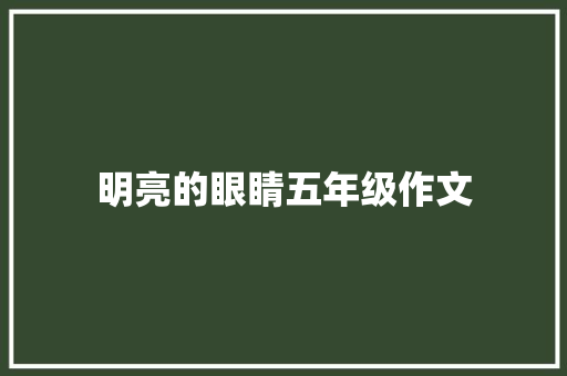 明亮的眼睛五年级作文