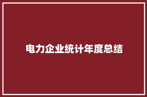 电力企业统计年度总结