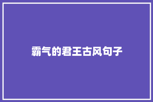 霸气的君王古风句子