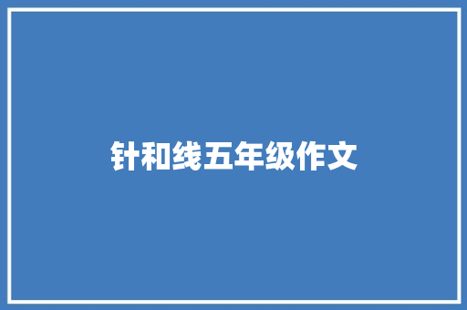 针和线五年级作文