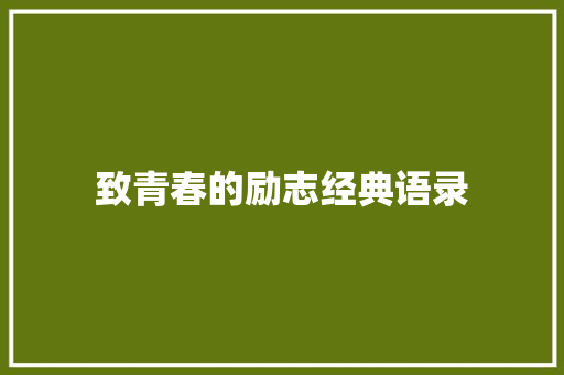 致青春的励志经典语录