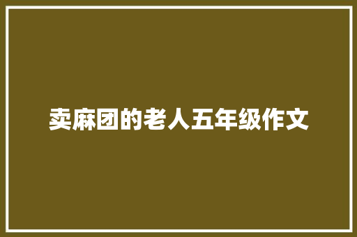 卖麻团的老人五年级作文 简历范文