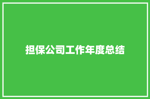 担保公司工作年度总结