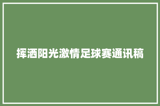 挥洒阳光激情足球赛通讯稿