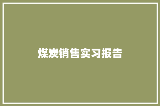 煤炭销售实习报告