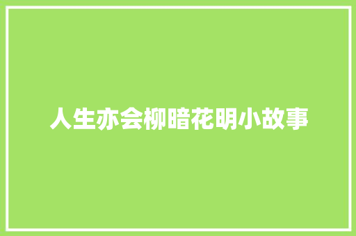 人生亦会柳暗花明小故事